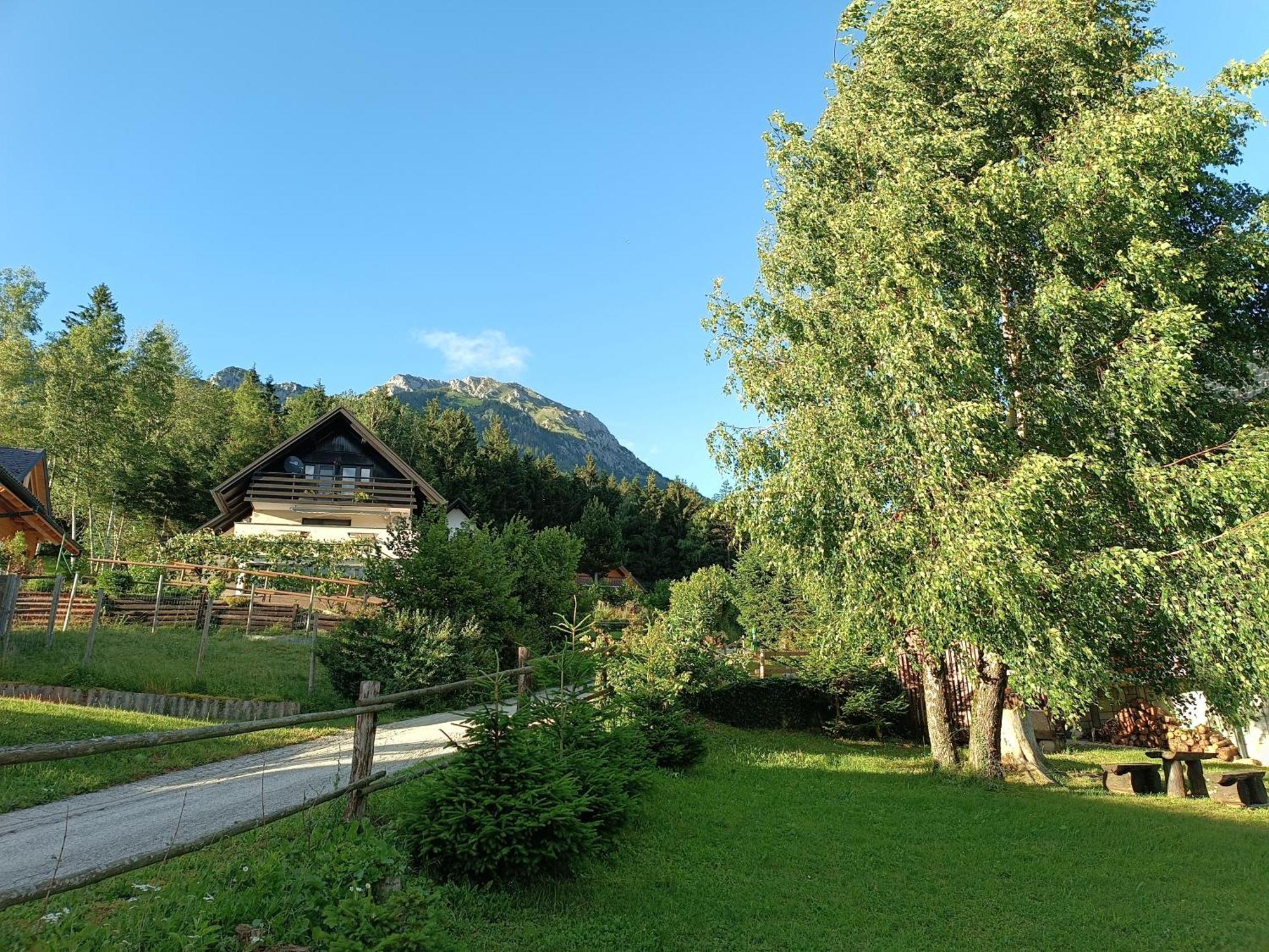 Kralj Matjaz - The Green Escape Under Alps Golnik Bagian luar foto